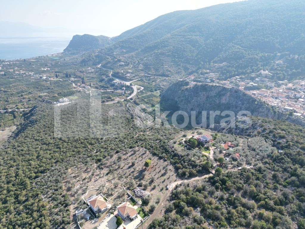Αγροτεμάχια 4.500 τ.μ. προς πώληση, Νέα Επίδαυρος