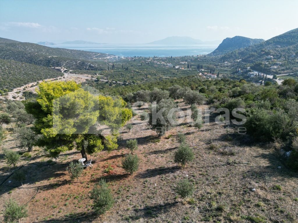 Αγροτεμάχια 4.500 τ.μ. προς πώληση, Νέα Επίδαυρος