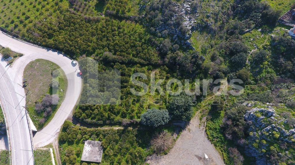 Αγροτεμάχια 2.409 τ.μ. προς πώληση, Νέα Επίδαυρος
