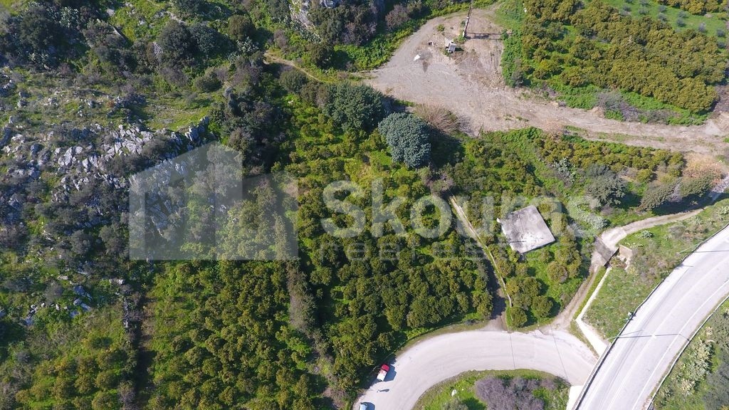 Αγροτεμάχια 2.409 τ.μ. προς πώληση, Νέα Επίδαυρος