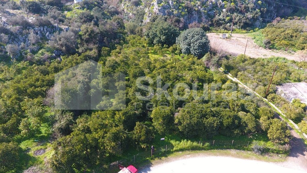 Αγροτεμάχια 2.409 τ.μ. προς πώληση, Νέα Επίδαυρος