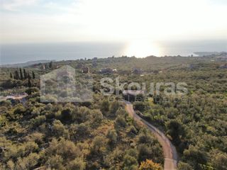Οικόπεδο 1.200 τ.μ. για πώληση, Μεσσηνία, Λεύκτρος-thumb-6