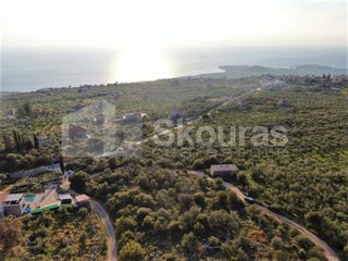 Οικόπεδο 1.200 τ.μ. για πώληση, Μεσσηνία, Λεύκτρος-thumb-15