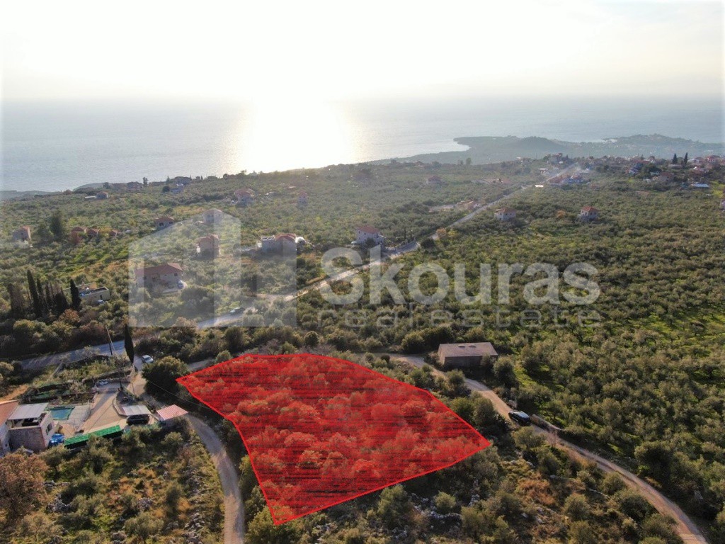 Οικόπεδο 1.200 τ.μ. προς πώληση, Νεοχώρι Λεύκτρου