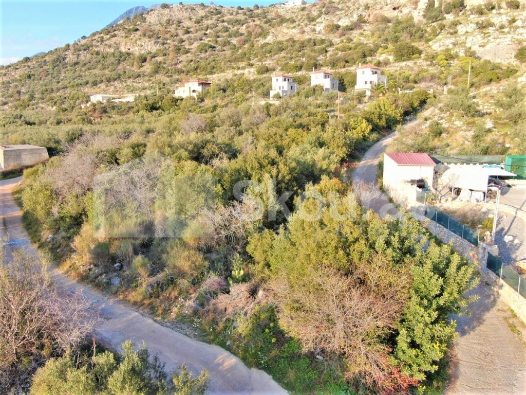 Οικόπεδο 1.200 τ.μ. προς πώληση, Νεοχώρι Λεύκτρου