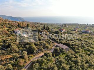 Οικόπεδο 1.200 τ.μ. για πώληση, Μεσσηνία, Λεύκτρος-thumb-18