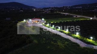 Μονοκατοικία 70 τ.μ. για πώληση, Αργολίδα, Ασίνη-thumb-24