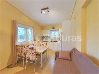 Μονοκατοικία 70 τ.μ. για πώληση, Αργολίδα, Ασίνη-thumb-7