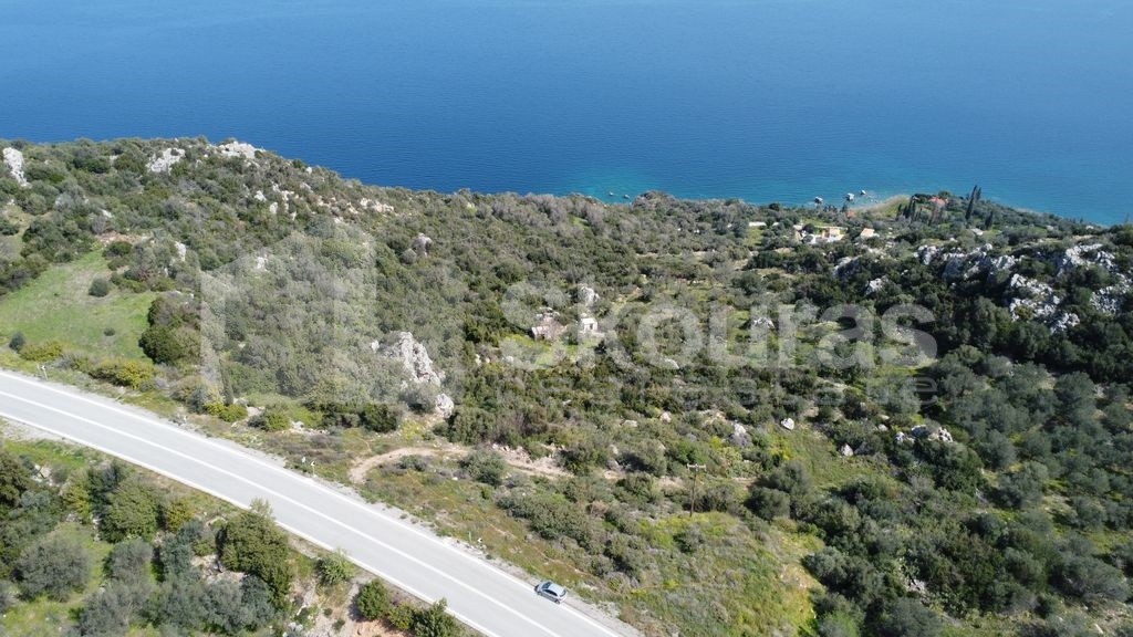 Αγροτεμάχια 5.285 τ.μ. προς πώληση, Δρυόπη Τροιζήνας