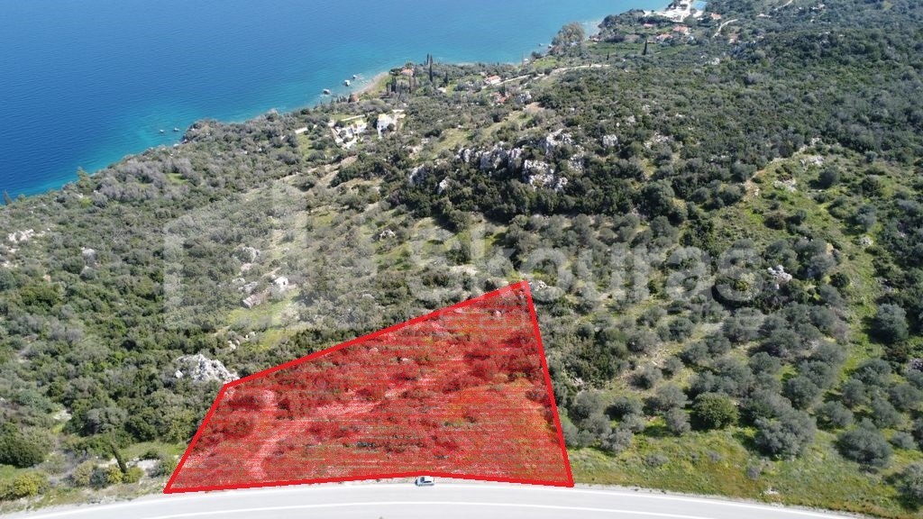 Αγροτεμάχια 5.285 τ.μ. προς πώληση, Δρυόπη Τροιζήνας