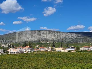 Διαμέρισμα 82,50 τ.μ. για πώληση, Αργολίδα, Ασίνη-thumb-14