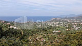 Οικόπεδο 2.884,85 τ.μ. για πώληση, Μεσσηνία, Λεύκτρος-thumb-4