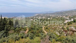 Οικόπεδο 2.884,85 τ.μ. για πώληση, Μεσσηνία, Λεύκτρος-thumb-10