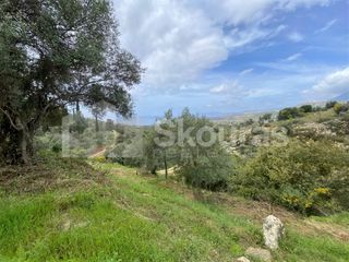 Οικόπεδο 2.884,85 τ.μ. για πώληση, Μεσσηνία, Λεύκτρος-thumb-18