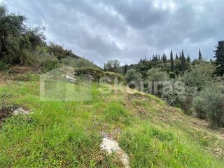Οικόπεδο 2.884,85 τ.μ. για πώληση, Μεσσηνία, Λεύκτρος-thumb-21