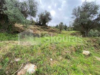Οικόπεδο 2.884,85 τ.μ. για πώληση, Μεσσηνία, Λεύκτρος-thumb-17