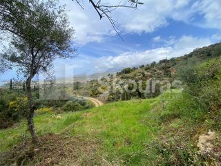 Οικόπεδο 2.884,85 τ.μ. για πώληση, Μεσσηνία, Λεύκτρος-thumb-13