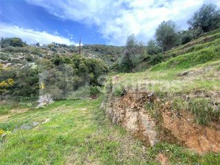 Οικόπεδο 2.884,85 τ.μ. για πώληση, Μεσσηνία, Λεύκτρος-thumb-24