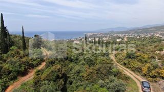 Οικόπεδο 2.884,85 τ.μ. για πώληση, Μεσσηνία, Λεύκτρος-thumb-12