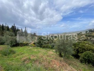 Οικόπεδο 2.884,85 τ.μ. για πώληση, Μεσσηνία, Λεύκτρος-thumb-14