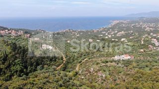 Οικόπεδο 2.884,85 τ.μ. για πώληση, Μεσσηνία, Λεύκτρος-thumb-9