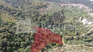 Οικόπεδο 2.884,85 τ.μ. για πώληση, Μεσσηνία, Λεύκτρος-thumb-1