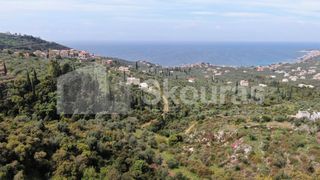 Οικόπεδο 2.884,85 τ.μ. για πώληση, Μεσσηνία, Λεύκτρος-thumb-8