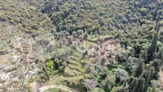 Οικόπεδο 2.884,85 τ.μ. για πώληση, Μεσσηνία, Λεύκτρος-thumb-6