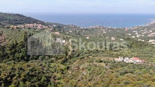 Οικόπεδο 2.884,85 τ.μ. για πώληση, Μεσσηνία, Λεύκτρος-thumb-2