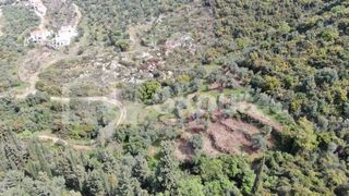 Οικόπεδο 2.884,85 τ.μ. για πώληση, Μεσσηνία, Λεύκτρος-thumb-7