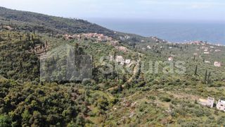 Οικόπεδο 2.884,85 τ.μ. για πώληση