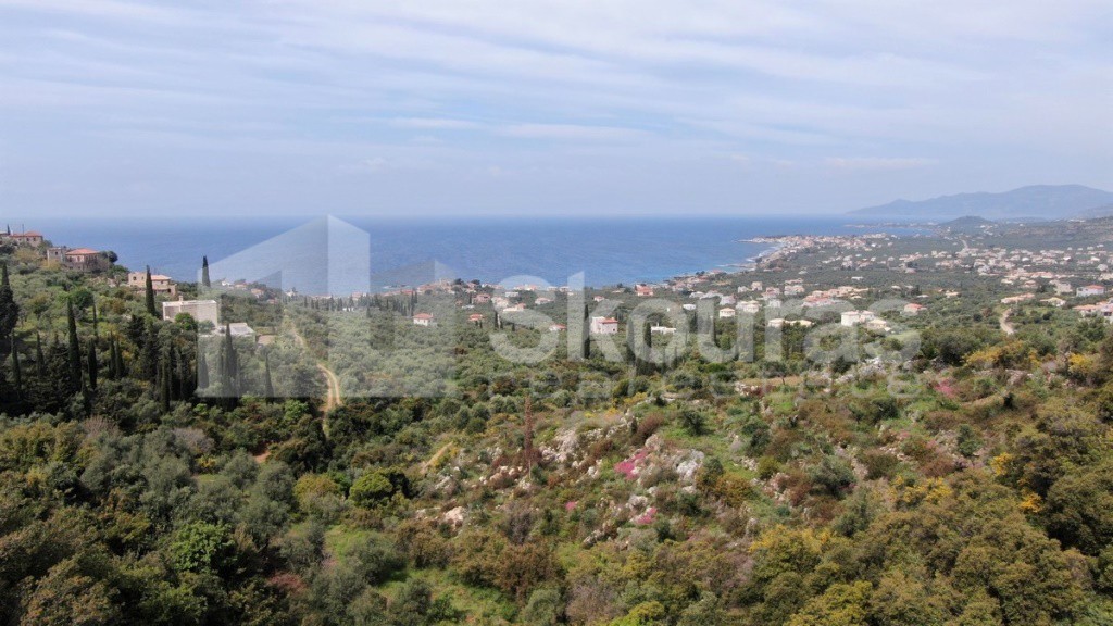 Οικόπεδο 2.884,85 τ.μ. προς πώληση, Κοτρώνι Λεύκτρου