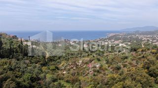Οικόπεδο 2.884,85 τ.μ. για πώληση, Μεσσηνία, Λεύκτρος-thumb-3