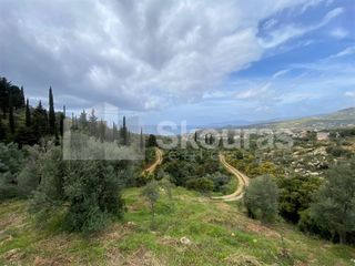 Οικόπεδο 2.884,85 τ.μ. για πώληση, Μεσσηνία, Λεύκτρος-thumb-20