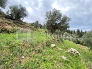 Οικόπεδο 2.884,85 τ.μ. για πώληση, Μεσσηνία, Λεύκτρος-thumb-16