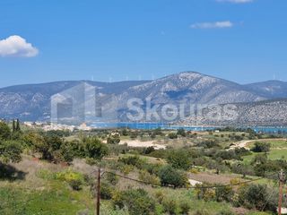 Μονοκατοικία 260 τ.μ. για πώληση, Αργολίδα, Κρανίδι-thumb-4