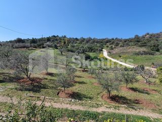 Μονοκατοικία 260 τ.μ. για πώληση, Αργολίδα, Κρανίδι-thumb-22