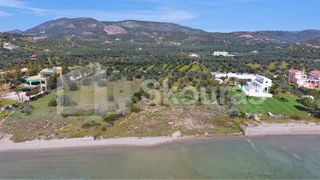 Αγροτεμάχια 3.284 τ.μ. για πώληση, Αργολίδα, Ερμιόνη-thumb-14