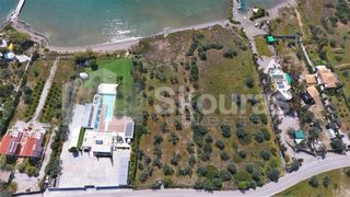 Αγροτεμάχια 3.284 τ.μ. για πώληση, Αργολίδα, Ερμιόνη-thumb-19