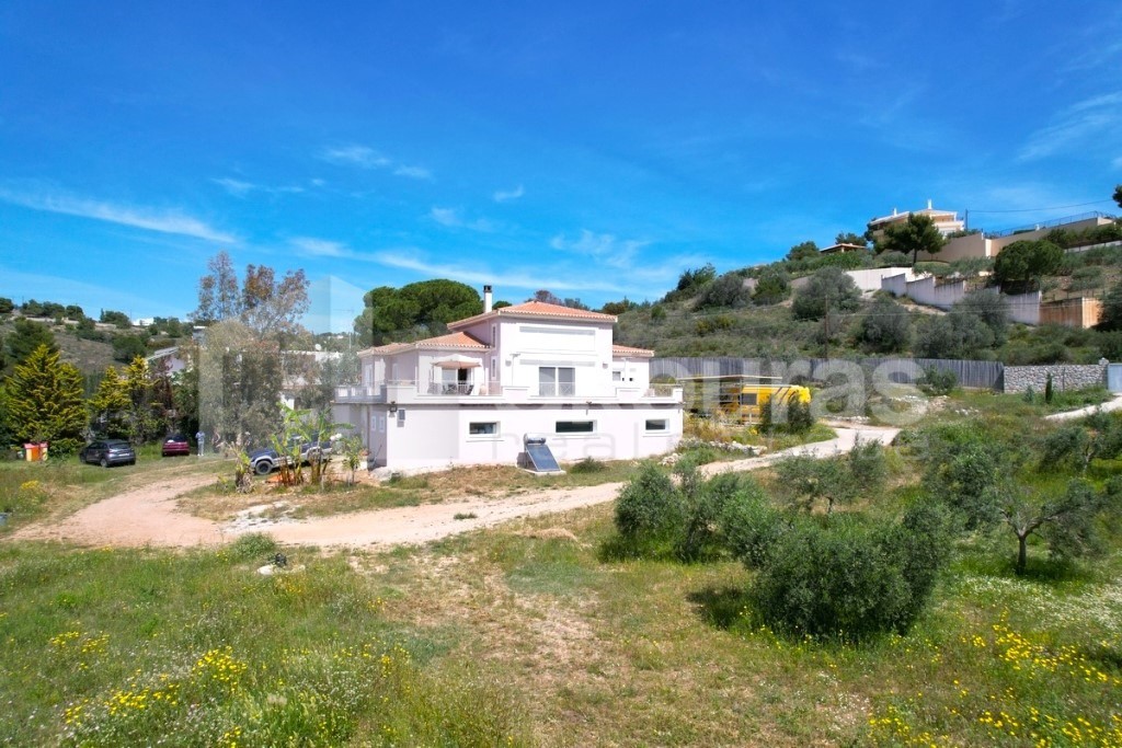Μονοκατοικία 415 τ.μ. προς πώληση, Πορτοχέλι