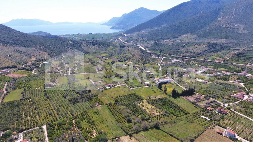 Αγροτεμάχια 4.050 τ.μ. προς πώληση, Επάνω Επίδαυρος