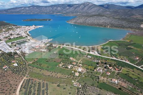 Αγροτεμάχια 7.900 τ.μ. για πώληση