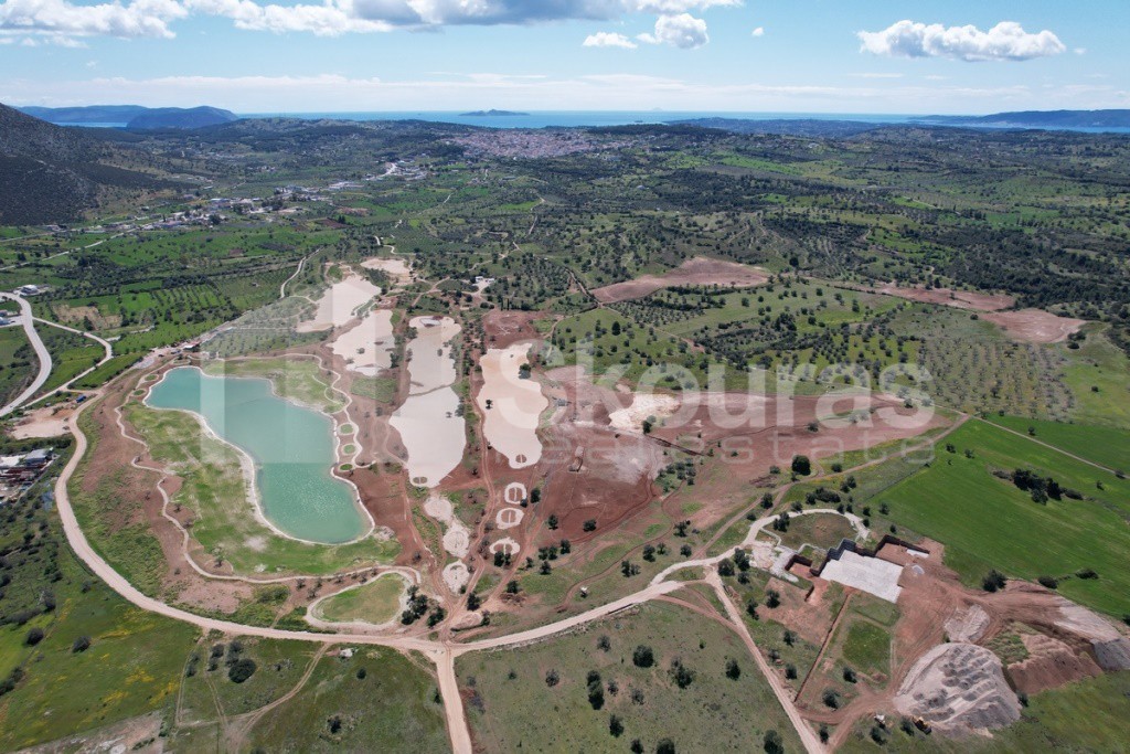 Αγροτεμάχια 7.900 τ.μ. πρός πώληση, Αργολίδα, Κρανίδι