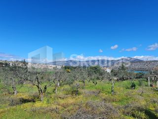 Αγροτεμάχια 7.900 τ.μ. για πώληση, Αργολίδα, Κρανίδι-thumb-15