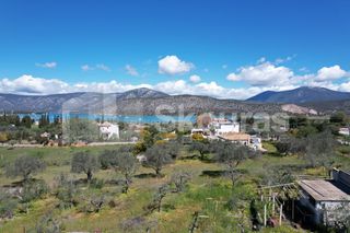 Αγροτεμάχια 7.900 τ.μ. για πώληση, Αργολίδα, Κρανίδι-thumb-19