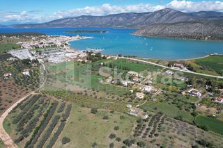 Αγροτεμάχια 7.900 τ.μ. για πώληση, Αργολίδα, Κρανίδι-thumb-18