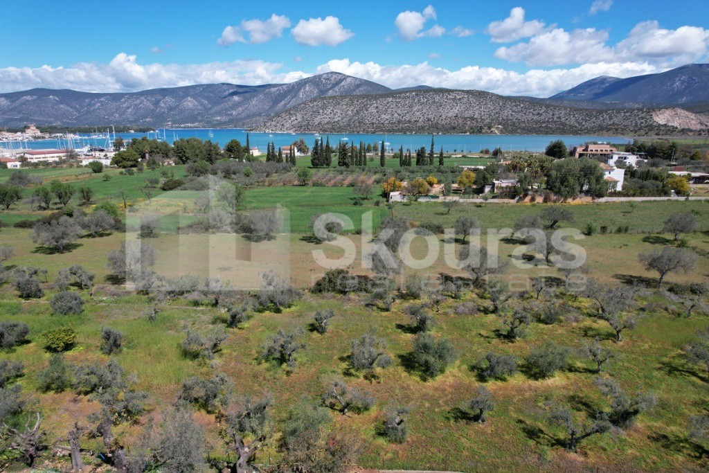 Αγροτεμάχια 7.900 τ.μ. πρός πώληση, Αργολίδα, Κρανίδι