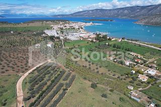 Αγροτεμάχια 7.900 τ.μ. για πώληση, Αργολίδα, Κρανίδι-thumb-20