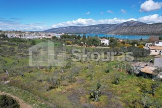 Αγροτεμάχια 7.900 τ.μ. για πώληση, Αργολίδα, Κρανίδι-thumb-9