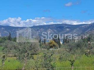 Αγροτεμάχια 7.900 τ.μ. για πώληση, Αργολίδα, Κρανίδι-thumb-5